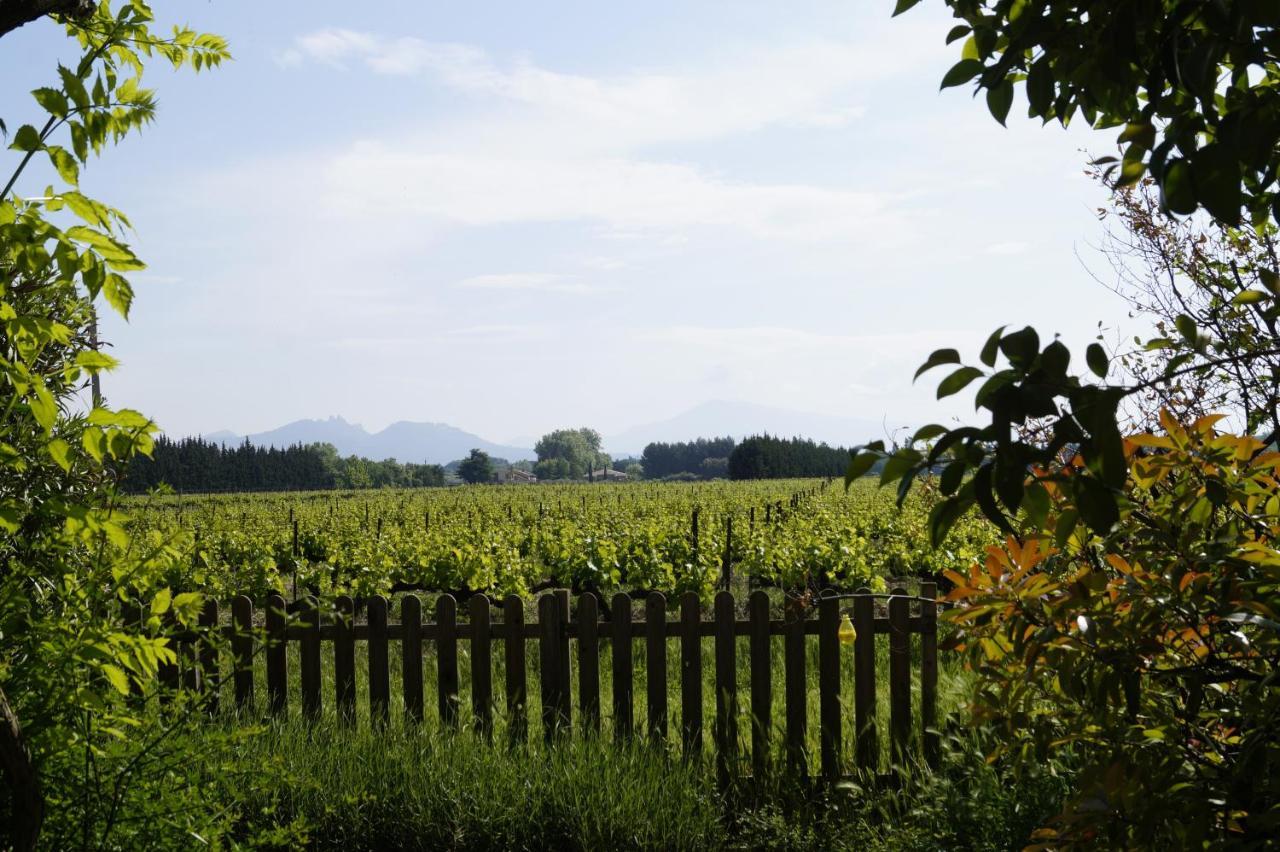 Mas Du Clos De L'Escarrat Jonquieres  Eksteriør bilde