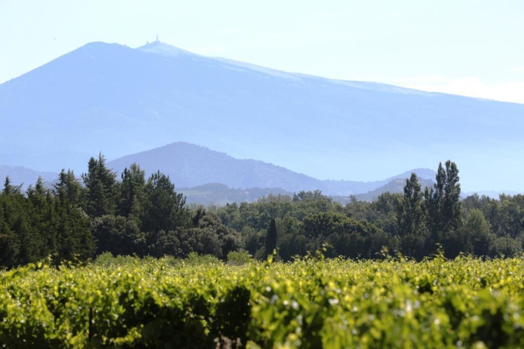 Mas Du Clos De L'Escarrat Jonquieres  Eksteriør bilde